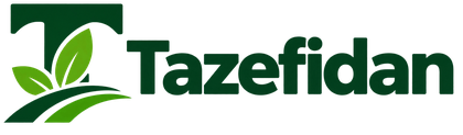 Tazefidan ana sayfa