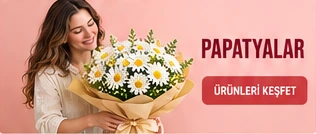Papatyalar · Ürünleri keşfet