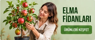 Elma Fidanları · Ürünleri keşfet