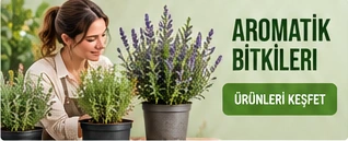 Aromatik Bitkiler · Ürünleri keşfet