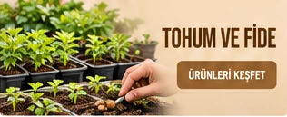 Tohum ve Fide · Ürünleri keşfet