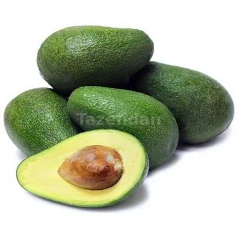 Avokado Fidanı